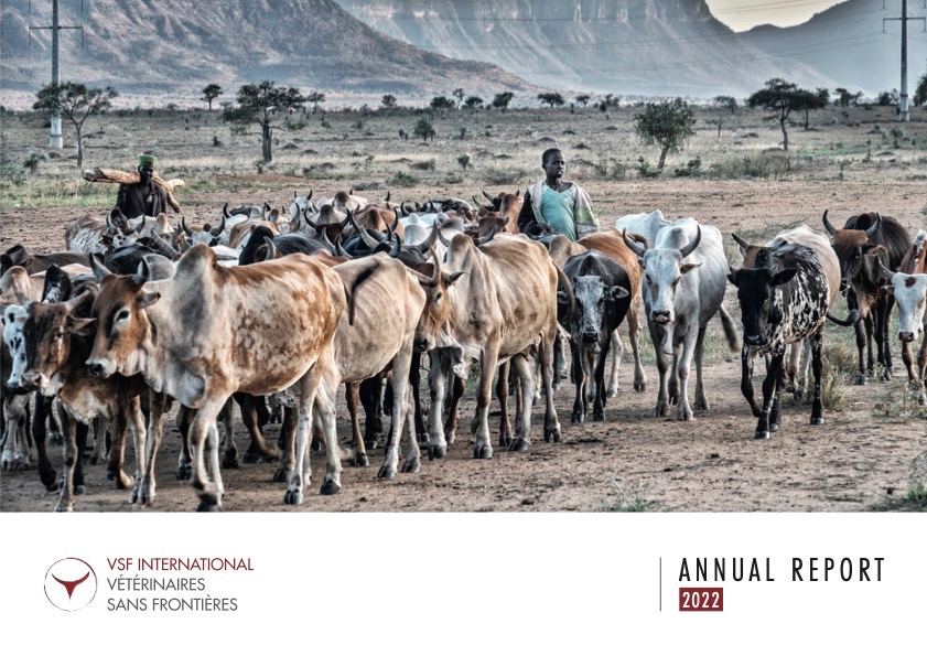VSF International Annual report 2022